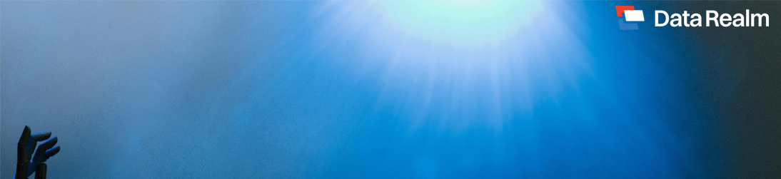 Data Realm_Digital Consulting